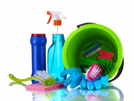 Professional pet stain odour removal for a Bromley living room carpet