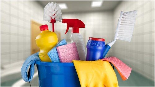 Local cleaner in Bromley providing careful property cleaning support