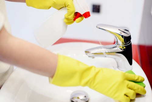 Professional cleaner handling a domestic cleaning task