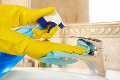 Final terms and conditions section for cleaner services