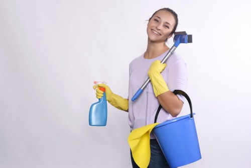 Local mattress cleaning technician working in a Bromley bedroom