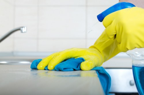 Regular home cleaning in a Bromley apartment or family house