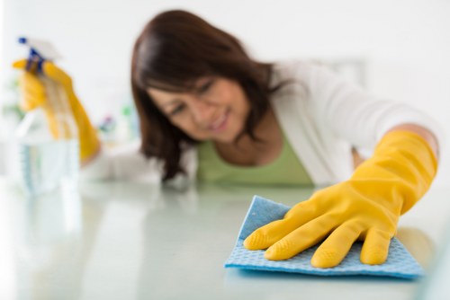 Regular housekeeping support for a Bromley household