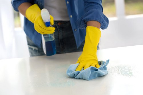 Rug cleaning process for a busy home or business